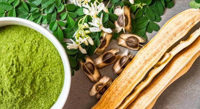 Quels sont les bienfaits de l'huile de Moringa ?